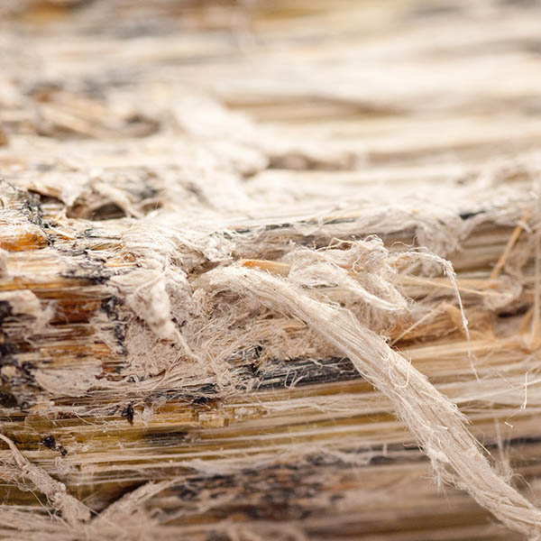 Asbestos Exposure Compensation Claim Specialists / No Win, No Fee / Accident Claims Portsmouth